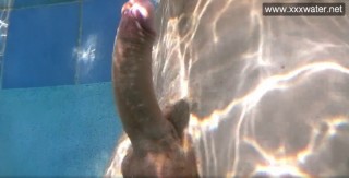 Hladová potápěčka Minnie Manga vykouří týpkovi pod vodou - freevideo